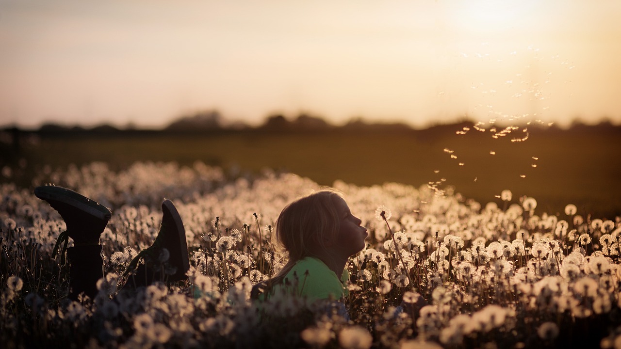 Entspannung auf einer Blumenwiese